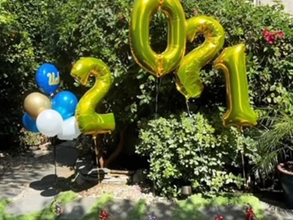 photo gallery picture