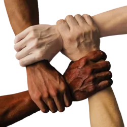 How Community and Unity Can Help Americans Survive (COVID-19)